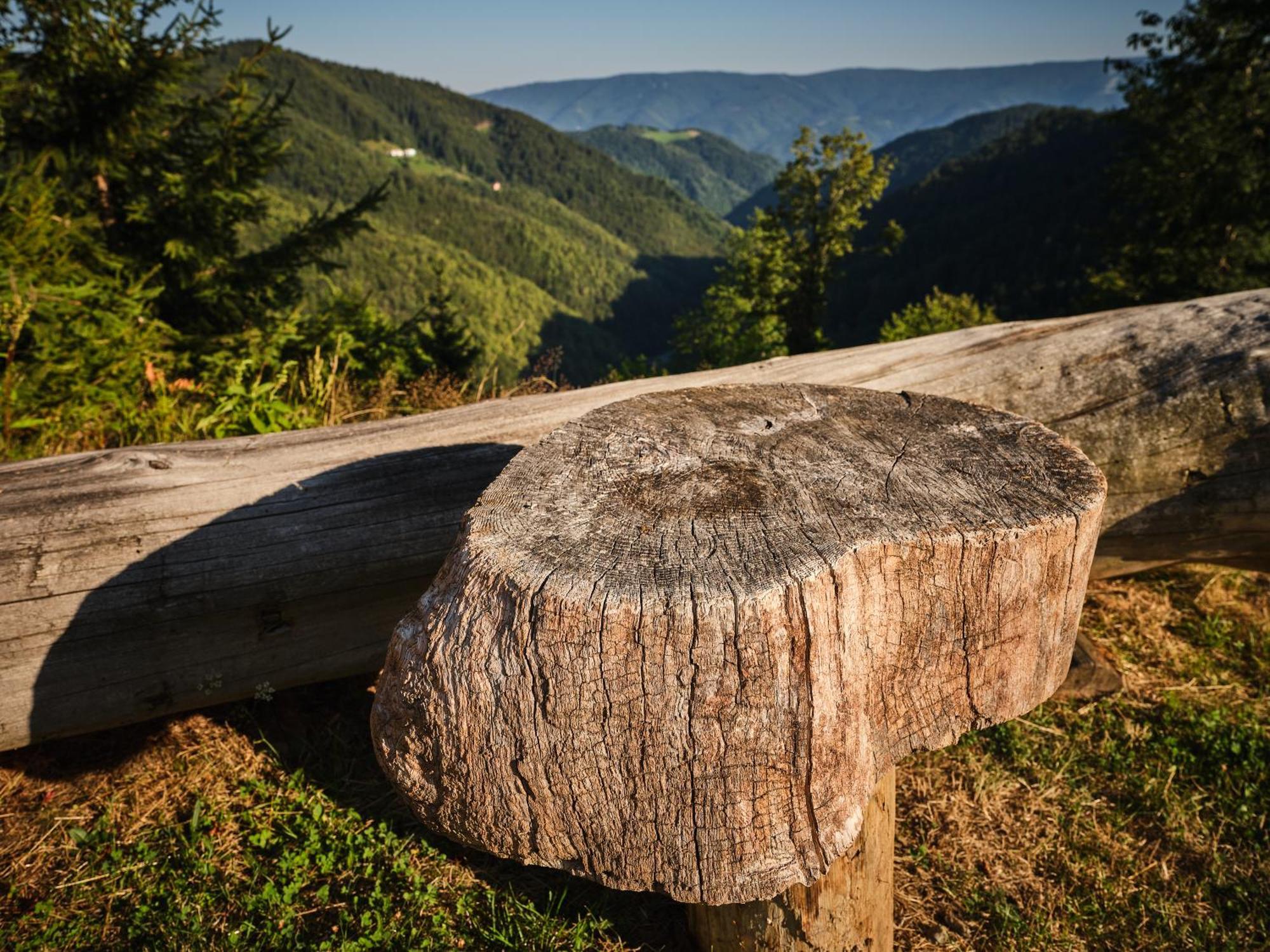 Chalets Toplak Sveti Duh na Ostrem Vrhu Exterior foto